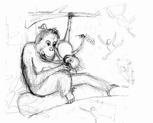 orangutan sketch